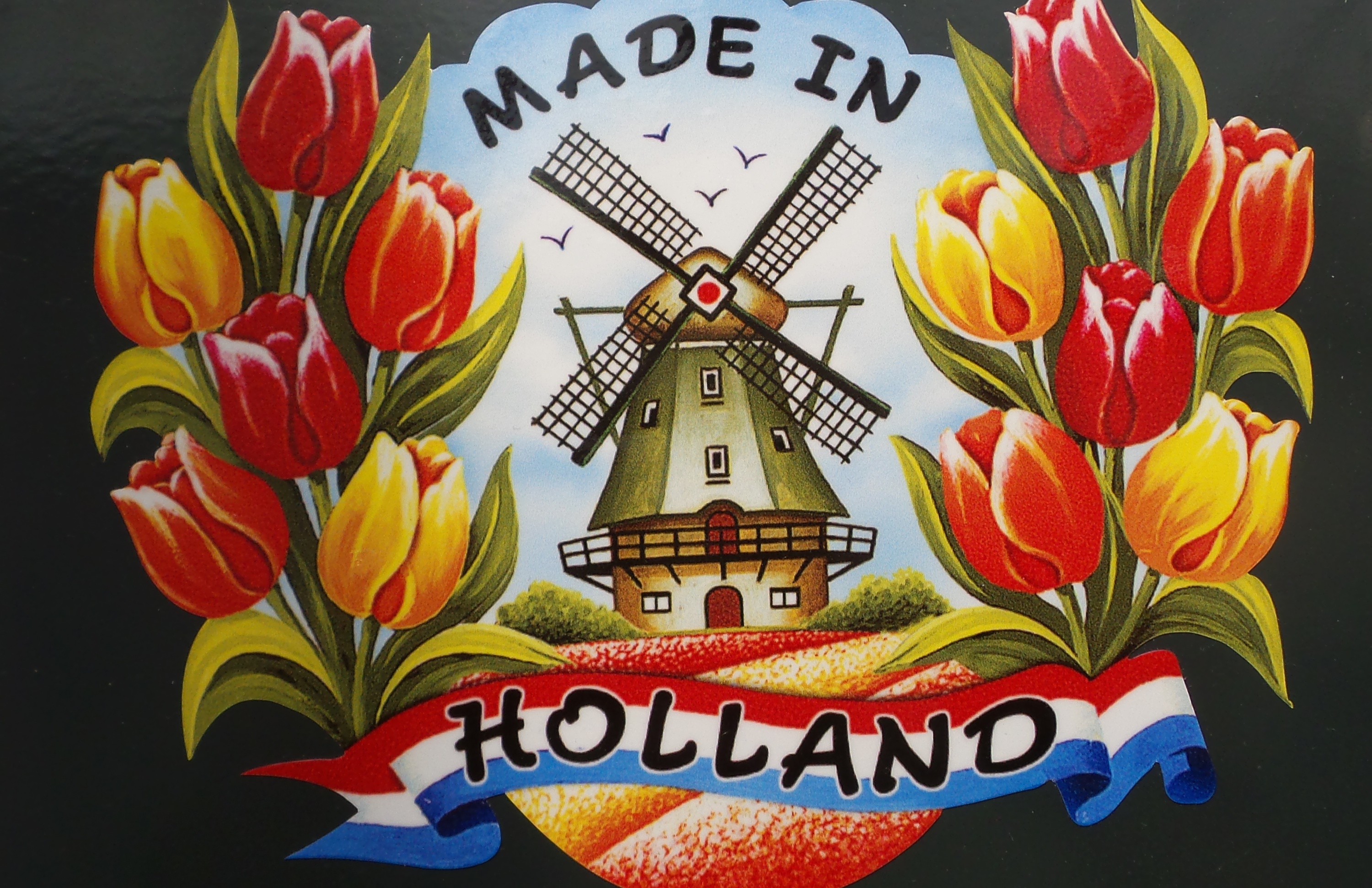 2014-04-17 Holland Tulips 24.jpg